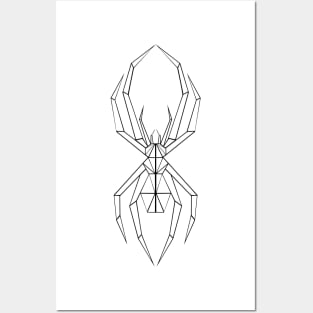 spider Posters and Art